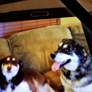 Meet your Posher, Connie